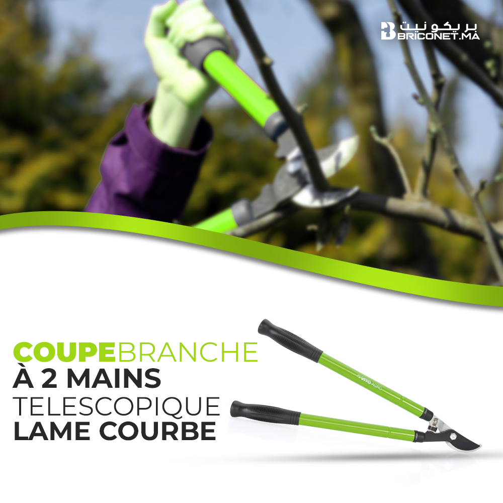 Coupe-branche a 2 mains 