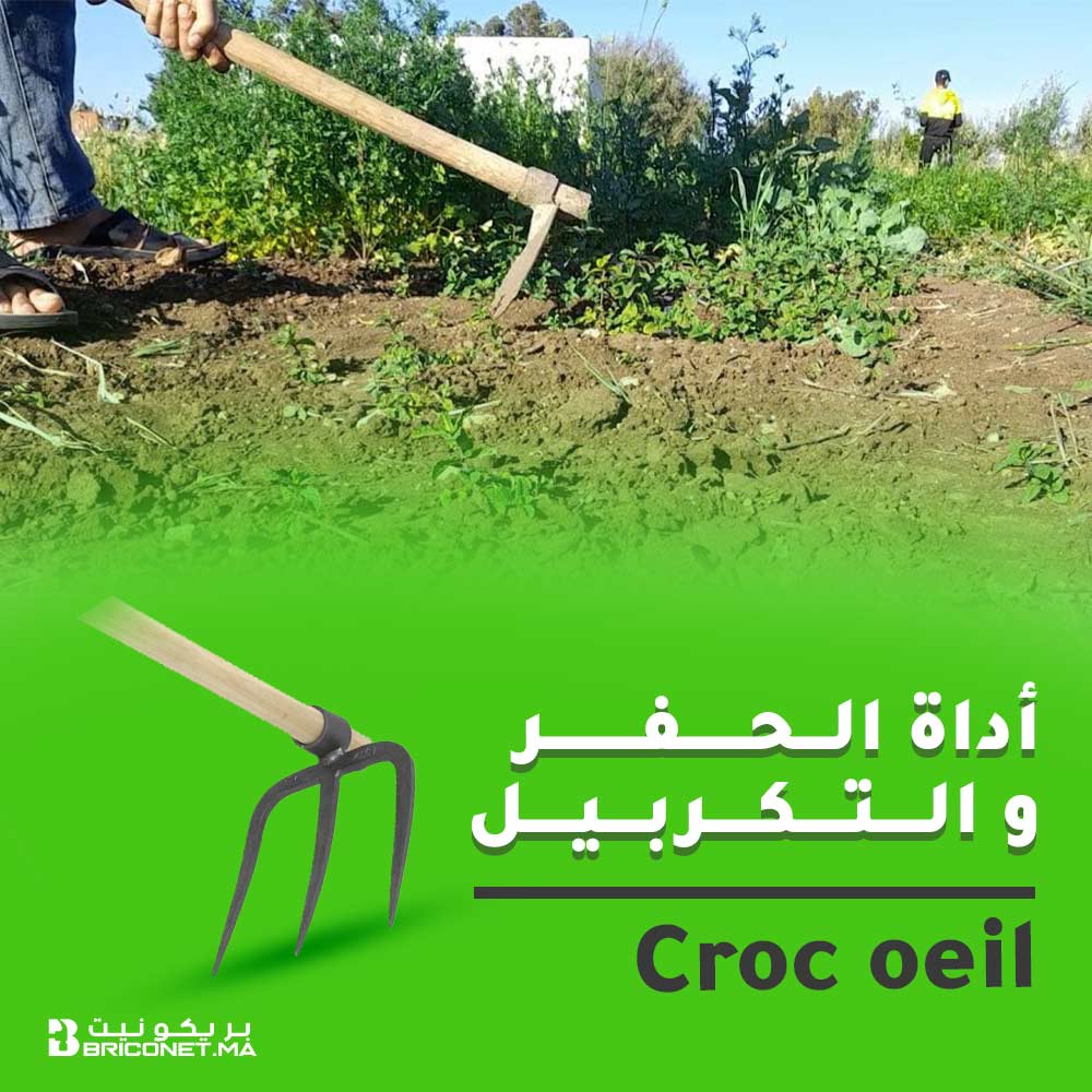 غانجو