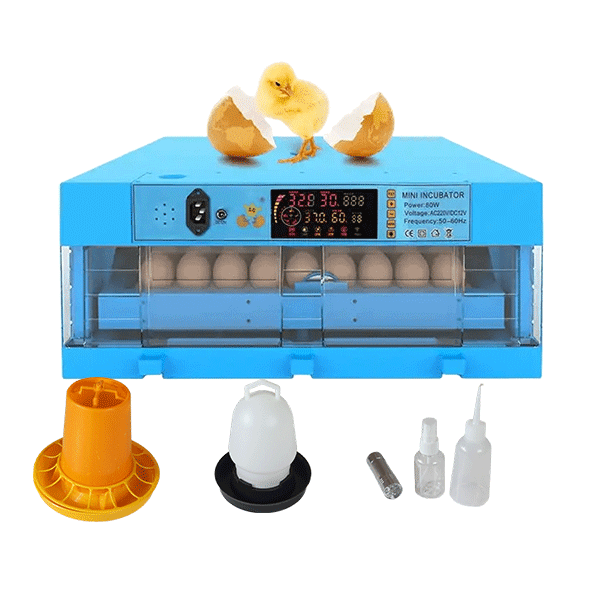 Incubateur professionnel64 œufs