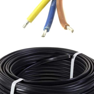 Cable souple noir 3x10