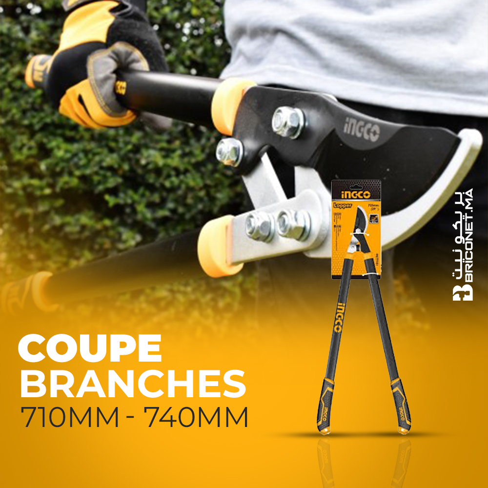 Coupe branches